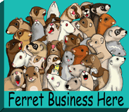 Ferret Art